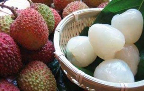 �и��ܳ���֦�� ����֦��ʲô�ô�